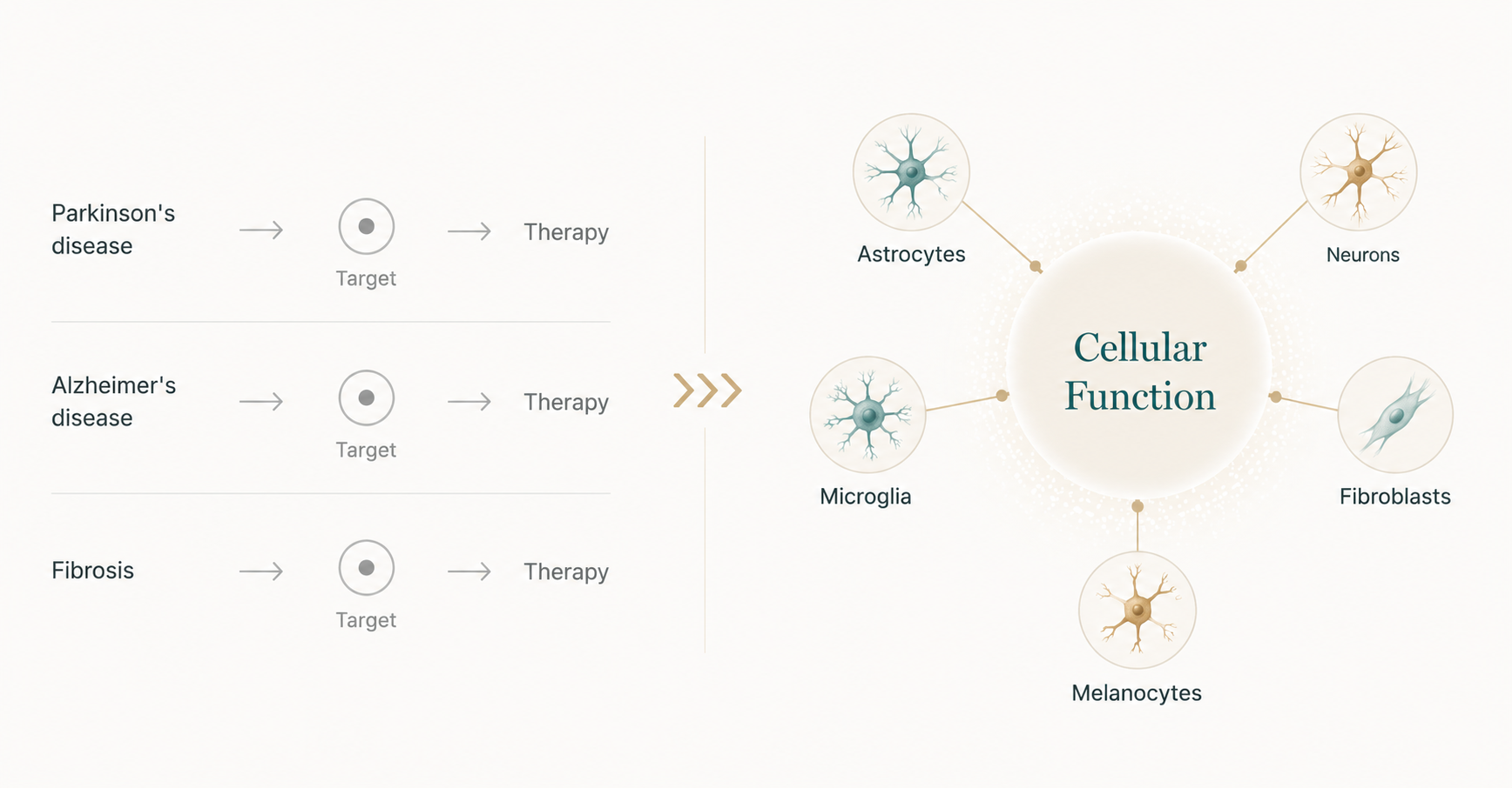 On the left, individual diseases such as Parkinson's, Alzheimer's and fibrosis are each treated through a single target and therapy. On the right, one cellular function hub connects to multiple cell types: astrocytes, neurons, microglia, fibroblasts and melanocytes.